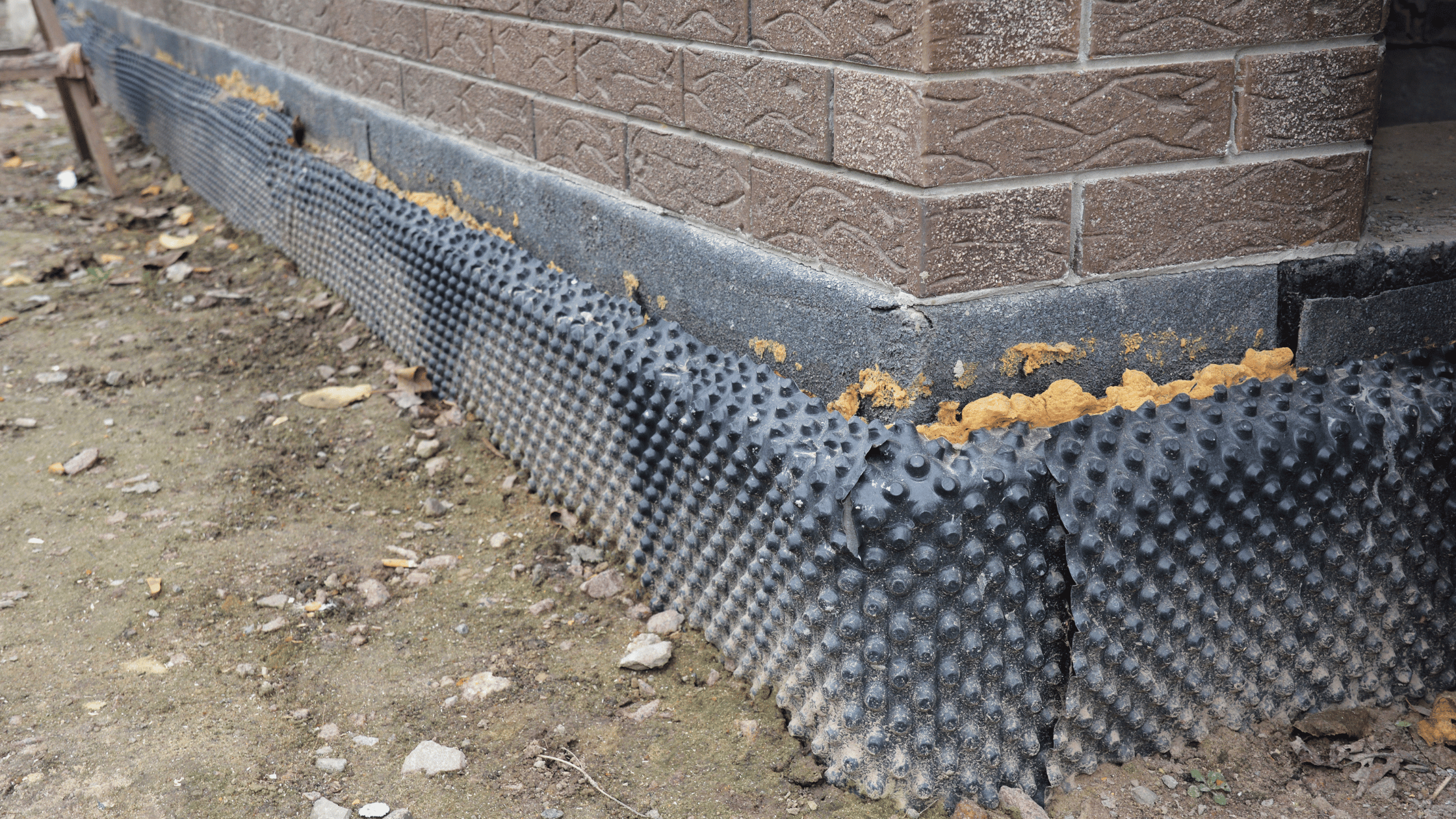 Signs of Water Damage in Roofs