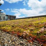 Waterproofing for Green Roofs