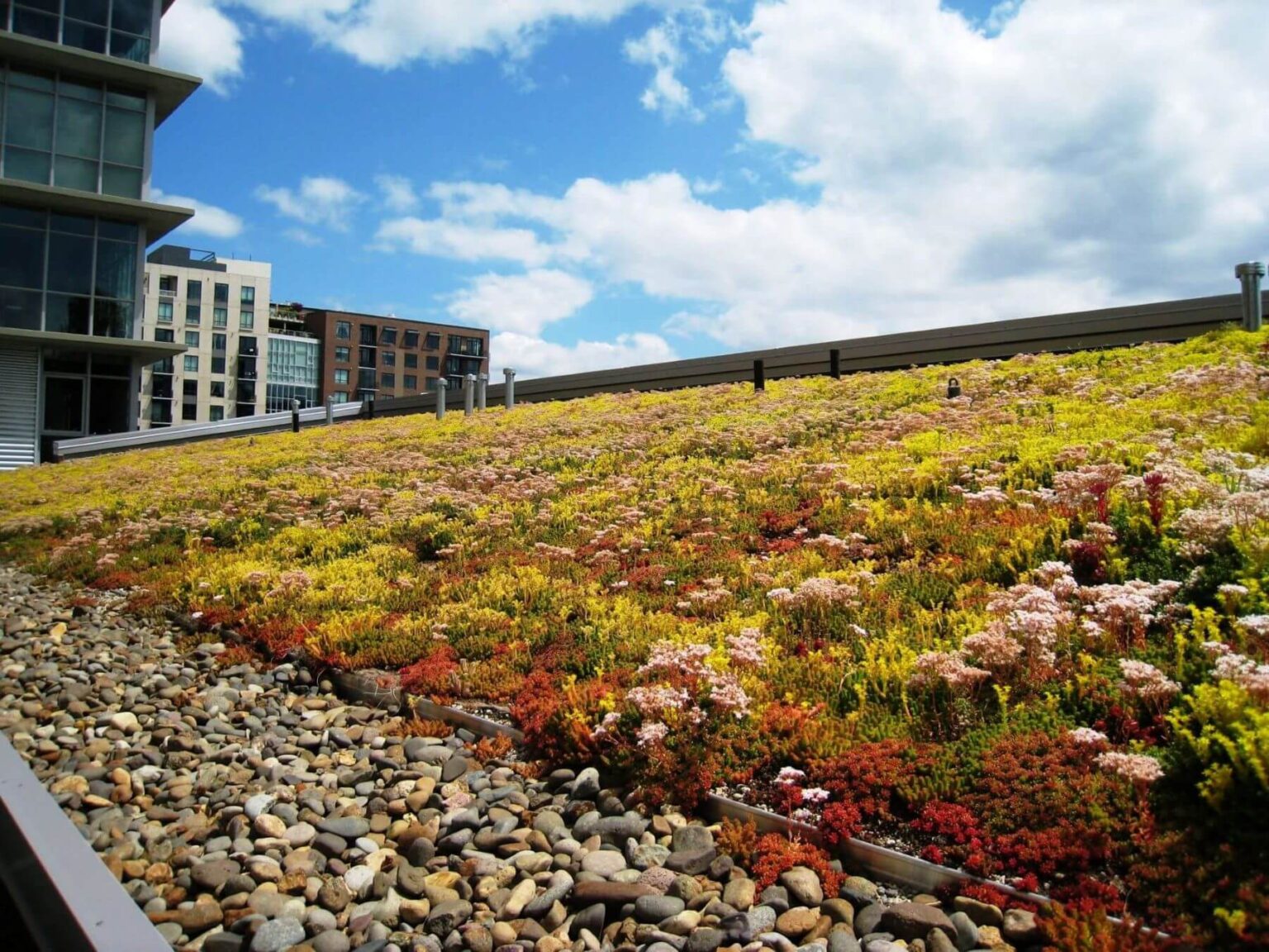 Gallery Detail: Waterproofing For Green Roofs