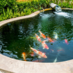 Waterproofing Pond Structures with Paint